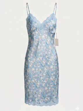 NWT! GOLD HAWK Washable Silk Forget Me Not Lace Slip Dress Size Small
